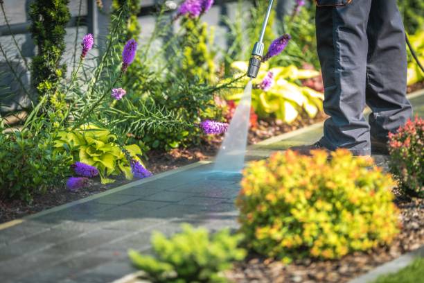 Best Fence Cleaning  in Cochran, GA